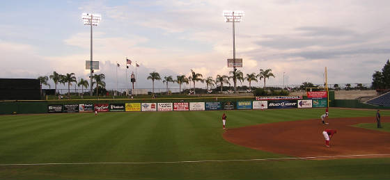 Palm trees in the cool breezes of Clearwater